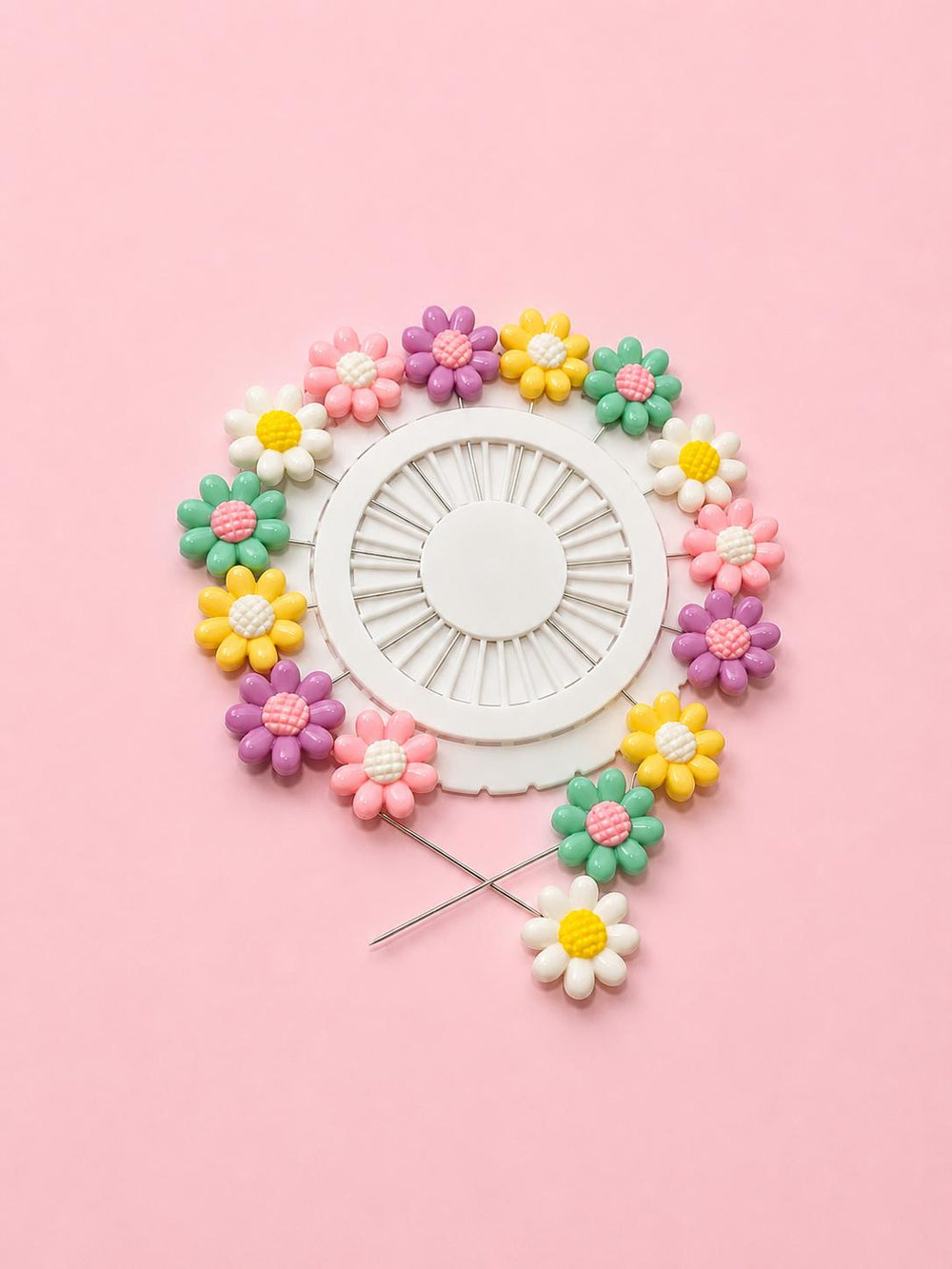 Daisy flower sewing pins white background